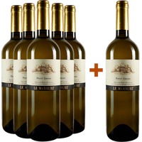5+1 Paket Pinot Grigio Le Marsure Friuli DOC - Teresa Raiz