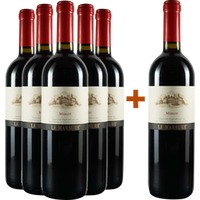 5+1 Paket Merlot Le Marsure Friuli DOC - Teresa Raiz