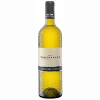 Montefalco Bianco 2023, Arnaldo Caprai, DOC