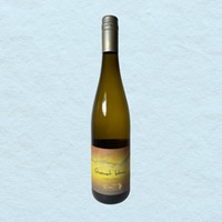Cabernet blanc Fumé