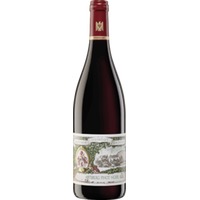Abtsberg Pinot Noir GG - Maximin Grünhaus