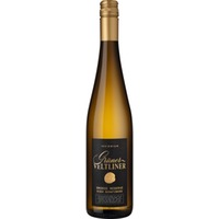 Insignium Grüner Veltliner Große Reserve, Ried Schatzberg, Niederösterreich, Niederösterreich, 2023, Weißwein