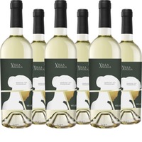 Passerina Marche Villa Angela IGT