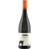 Falanghina San Salvatore