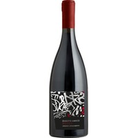 Questo Amico Leggero Appassimento, Vino d’Italia, Vino da Tavola, 2020, Rotwein