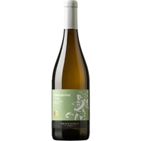 Matasci Vini Cherubino Bianco Ticino DOC - - Tessin, Schweiz
