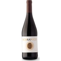 Bodegas Teso la Monja Romanico DO Toro - - Duero-Tal (Castilla y Leon), Spanien