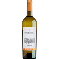 Briziarelli Sua Signoria Umbria Bianco IGT - - Umbrien, Italien