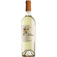 Velenosi Ercole Vitivinicola Ascoli Piceno Chardonnay Circum Marche IGT - - Marche, Italien