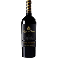 Pago de Cirsus Navarra DO Vendimia Seleccionada - - Oberer Ebro, Spanien