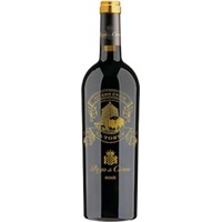 Pago de Cirsus Navarra DO La Torre - - Oberer Ebro, Spanien