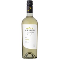 Kaiken Terroir Series Torrontes Salta - - Mendoza, Argentinien