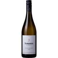 SCHULER 1694 Sommer Grüner Veltliner Schiefer BIO Leithaberg DAC - Burgenland, Österreich