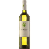 Dominio de Eguren Protocolo Blanco Organico VdT BIO - - Meseta, Spanien