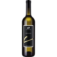 Cantina Mendrisio Convivio - Bianco del Ticino DOC - - Tessin, Schweiz