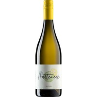 Gutedel feinherb Bio - Weingut Harteneck