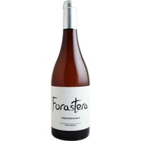 Forastera Forastera Blanca Islas Canarias DO trocken - Bodegas El Sitio