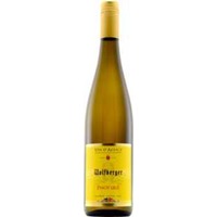 Pinot Gris - demi sec - Wolfberger,Elsass