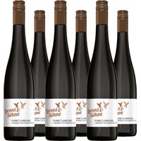 Cabernet Sauvignon Merlot QbA trocken Punktlandung