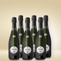 Berlucchi Franciacorta Extra Brut 0,375l 6er Vorratspaket
