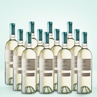 Marchesi di Barolo Gavi 12er Vorratspaket
