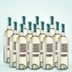 Marchesi di Barolo Gavi 12er Vorratspaket 