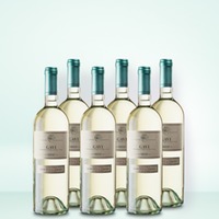 Marchesi di Barolo Gavi 6er Vorratspaket