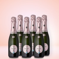 Berlucchi Franciacorta Rosé 0,375l 6er Vorratspaket
