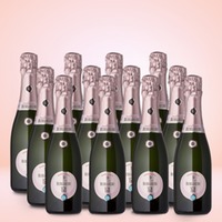 Berlucchi Franciacorta Rosé 0,375l 12er Vorratspaket