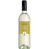 Inzolia Terre Siciliane Caleo IGT