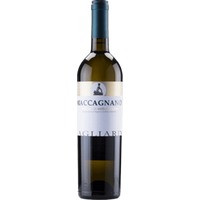 Riserva Maccagnano Verdicchio Di Matelica - Gagliardi