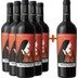 5+1 Donna Matilde Negroamaro Salento IGP - Santamarja Wines 