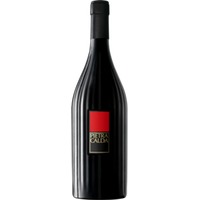 Feudi San Gregorio Pietracalda Fiano di Avellino DOCG - - Kampanien, Italien