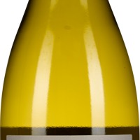 Chardonnay Valle de Casablanca
