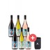 6er-Paket Artis alkoholfrei + gratis Kühlmanschette - Weinpaket 