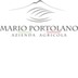 Maior Falanghina spumante Metodo Classico trocken - Mario Portolano 