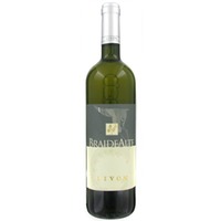 Livon Dolengnano Braide Alte - - Friaul, Italien