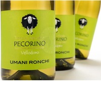 Vellodoro Terre d'Abruzzo IGT Umani Ronchi