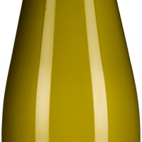 Gelber Muskateller Steinrose