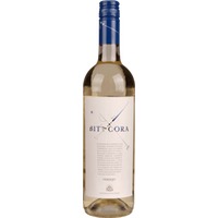 Bitacora Rueda Verdejo - Cuatro Rayas