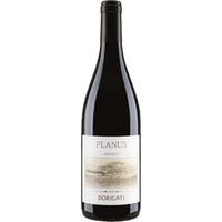 Cuvée rot 'Planus' - F. LLI DORIGATI SNC