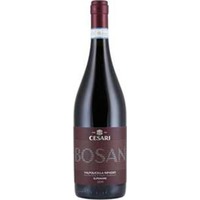 Cesari Bosan Valpolicella Ripasso Superiore