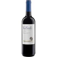 Valsotillo Tinto - Val Sotillo Tinto
