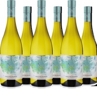 Nm Cuvée Chardonnay-sauvignon Vigneto delle Dolomiti IGT