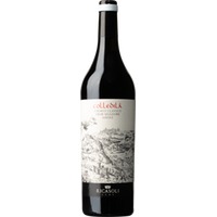 Colledilà DOCG Chianti Classico Gran Selezione, rosso