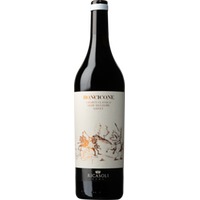 „Roncicone“ DOCG Chianti Classico Gran Selezione, rosso