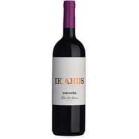 Rotwein Barrique Ikarus trocken