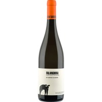 San Salvatore Falanghina Bianco, Campania IGP, Kampanien, 2024, Weißwein