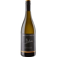 Weingut Nägelsförst Qvinum Weiss, Trocken, Baden, Baden, 2024, Weißwein