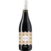 Maioliche Nero di Troia Puglia IGP trocken Bio - Tenuta Viglione